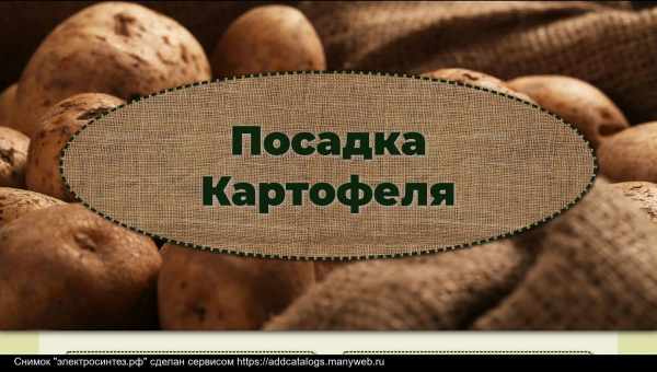 Схема посадки картофеля