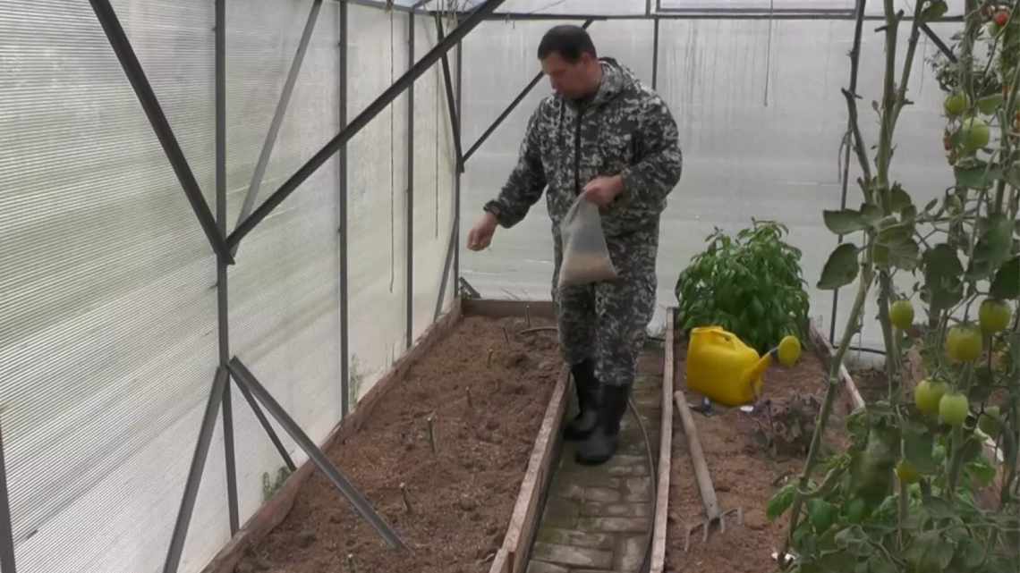 Подготовка грядки под огурцы в теплице осенью