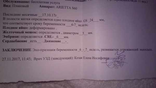 Желточный мешок при беременности: таблица нормальных размеров по неделям на ранних и поздних сроках