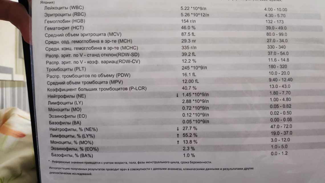 Общий анализ крови из пальца нужно сдавать натощак или нет, можно ли кормить детей перед процедурой?