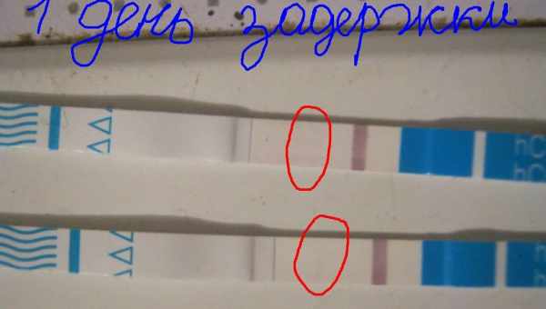 Задержка месячных на несколько дней, тянет поясницу и низ живота, тест отрицательный: что это значит?