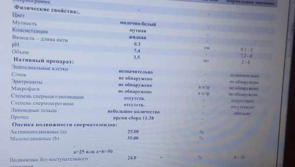 Фрагментация ДНК сперматозоидов в спермограмме: цель анализа, лечение патологии