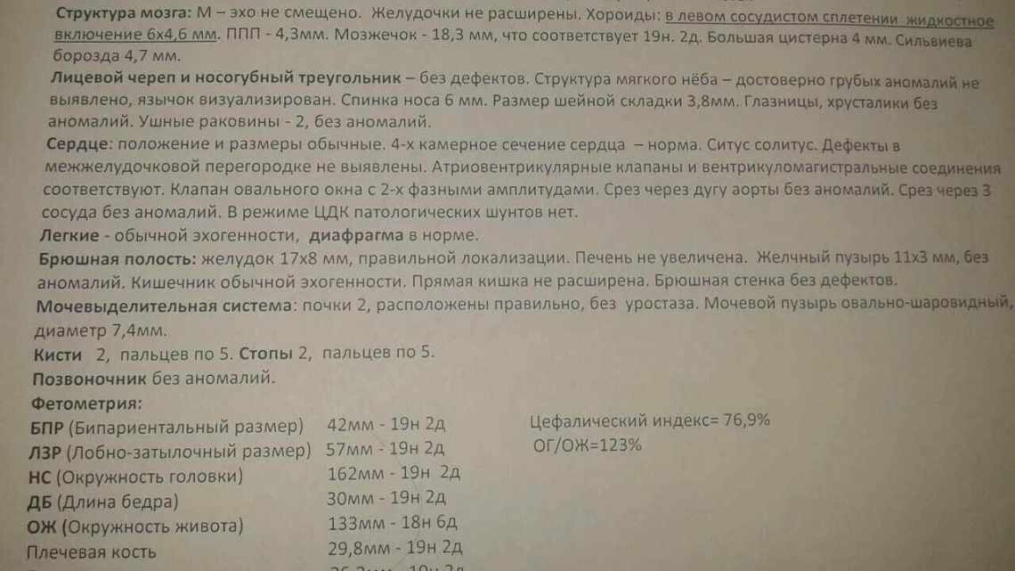 Внутренний зев при беременности воронкообразно расширен: что значит такое расширение, какая норма, что делать?