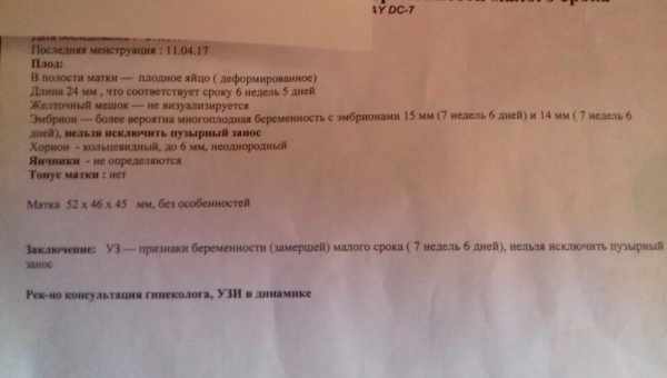 Эмбрион четко не визуализируется или не лоцируется: что это значит, почему на 5–6 неделе беременности не виден зародыш?