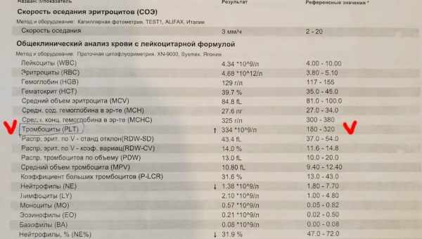 Норма гемоглобина у женщин в 1, 2 и 3 триместрах беременности: чем опасно его понижение у беременных?