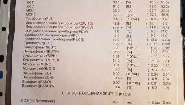 Причины, по которым у ребенка может быть понижен цветовой показатель крови, варианты нормы и особенности лечения