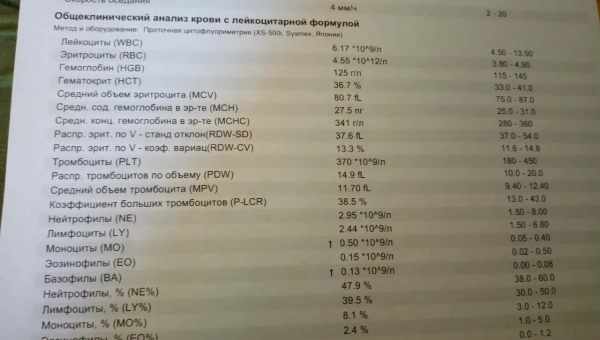 Мононуклеары в анализе крови ребенка: норма и причины появления атипичных клеток