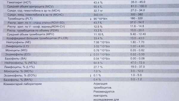 Почему в моче у ребенка повышены эритроциты – каковы причины и нормальные показатели?