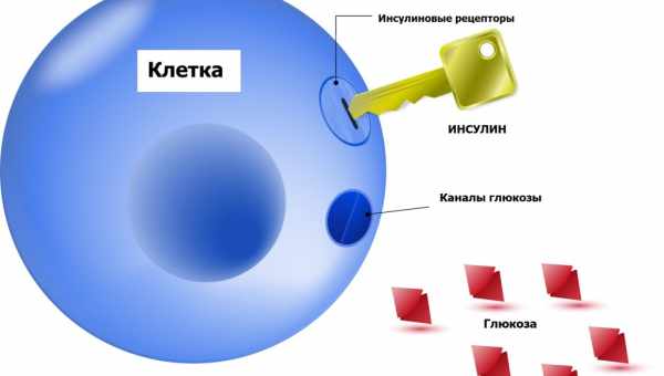 Симптомы сахарного диабета 1 типа у детей, схема лечения и возможные осложнения