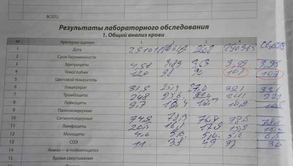 Насколько опасен низкий гемоглобин при беременности? Какую диету нужно соблюдать беременной при низком гемоглобине