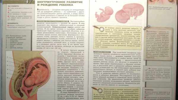 Каковы особенности четвертой беременности, на какой неделе и как проходят роды, можно ли родить быстро и легко?