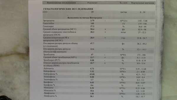 Почему у грудничка и ребенка старшего возраста может быть повышено содержание тромбоцитов в крови?