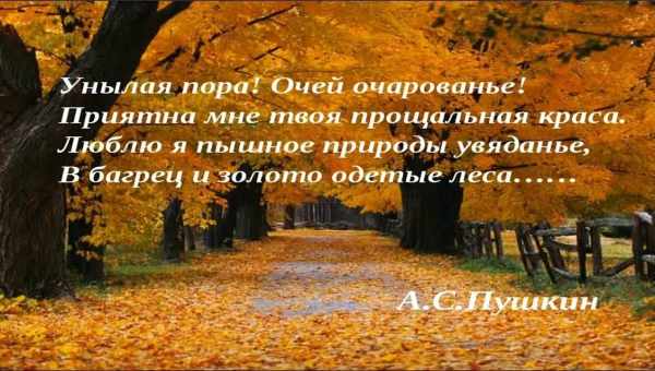 Унылая пора, не будь такой унылой: несколько неожиданных причин полюбить осень