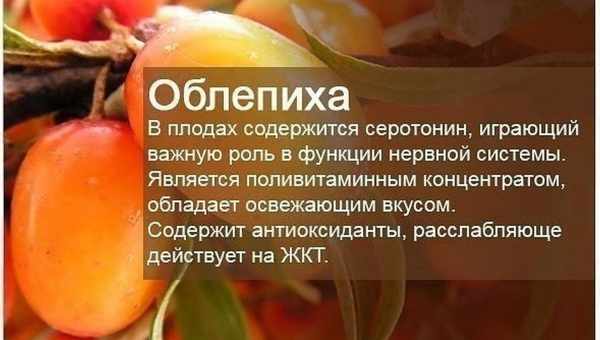 Огромная польза облепихового сока как поливитаминного напитка. Какой категории людей облепиховый сок противопоказан и может нанести вред?