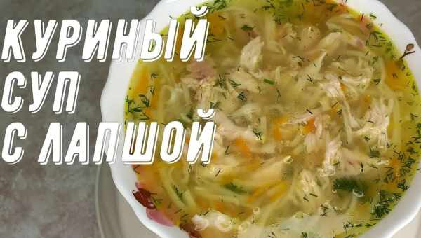 Куриный суп с лапшой роллтон