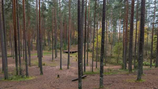 Природный заказник «Гряда Вярямянселькя»