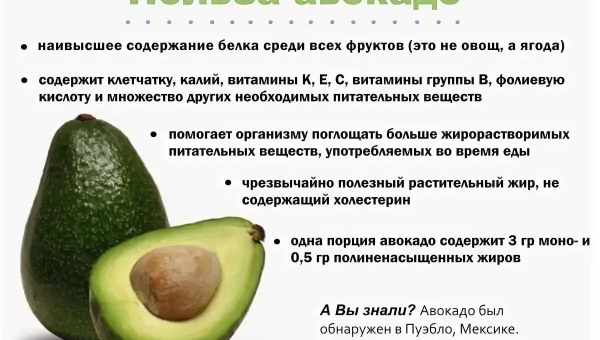 Авокадо: калорийность плодов, польза и вред прекрасного растения. Полезные вещества из авокадо и его потенциальный вред