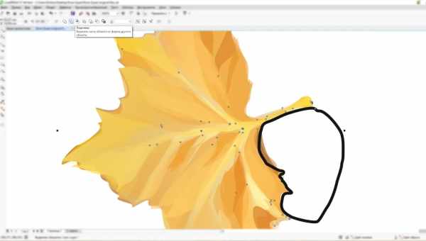 Создание и удаление контура в Coreldraw — простые решения для желанного эффекта