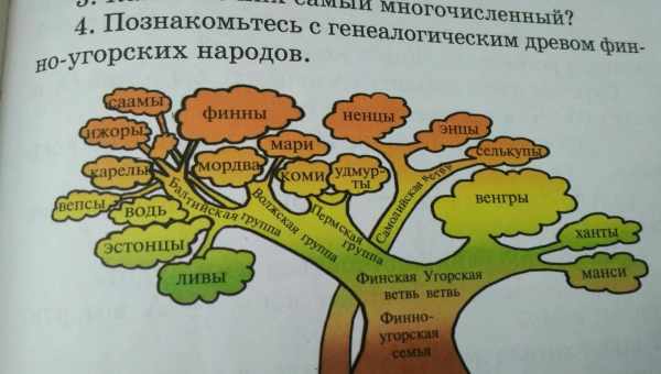 Онлайн-игра помогла лингвистам понять фонетическое родство языков