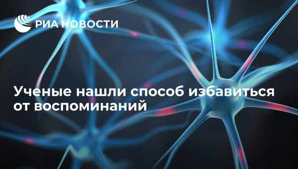 Рыбки-драчуны синхронизировали экспрессию генов в мозге