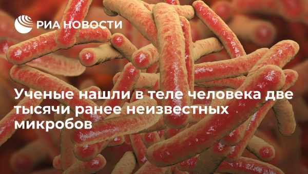 В кишечнике человека обнаружены 140 000 ранее неизвестных видов вирусов