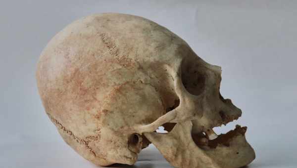 Немец по оплошности повредил магический череп майя