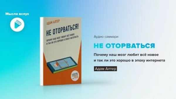 Максимальная концентрация. Как сохранить эффективность в эпоху клипового мышления (Л. Дж. Палладино)