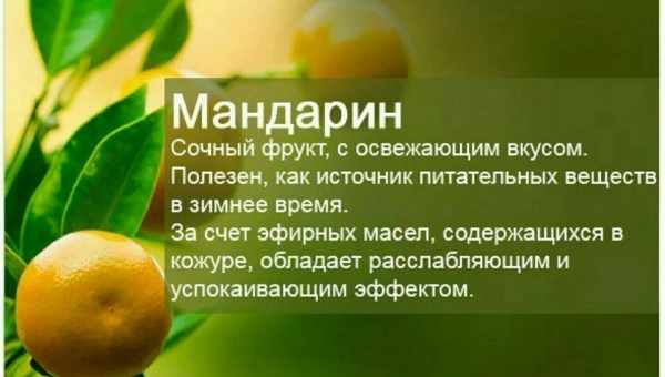 Мандарин - полезные свойства