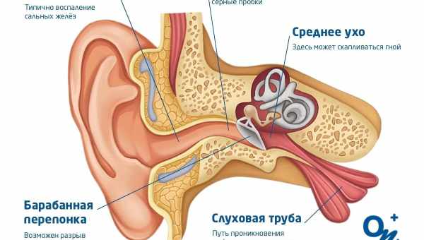 Заложенность уха. В каких случаях это может произойти?