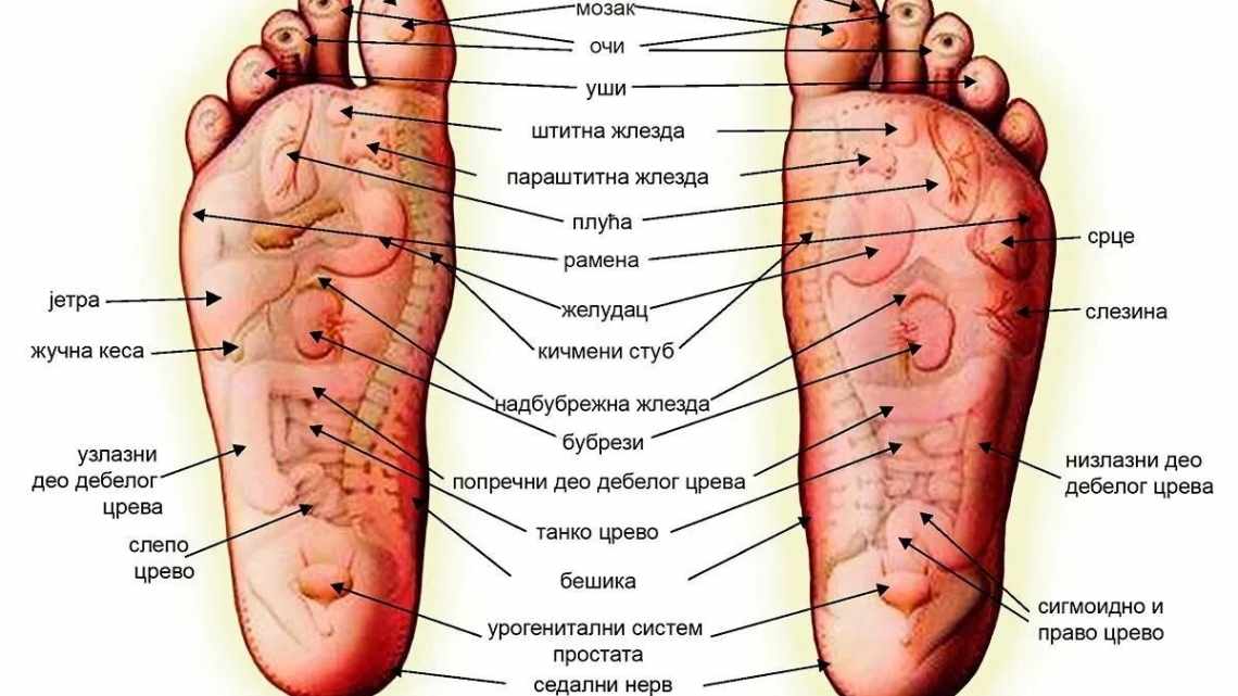 Акупунктура пальцами – общие сведения