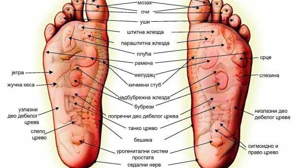 Акупунктура пальцами – общие сведения