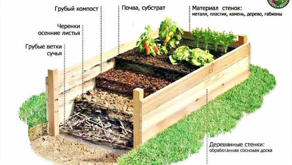 Как приготовить компост в домашних условиях: способы приготовления