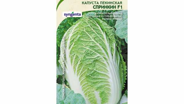 Капуста пекинская Острая — описание сорта, фото, отзывы, посадка и уход