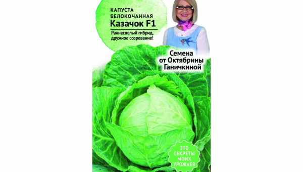 Описание капусты сорта Глория F1 и особенности выращивания гибрида