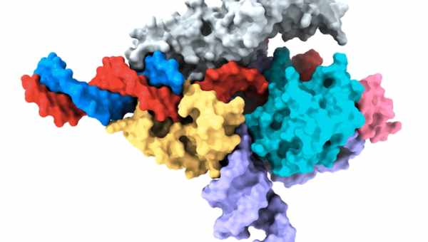 CRISPR-Cas9 избавили от всего лишнего