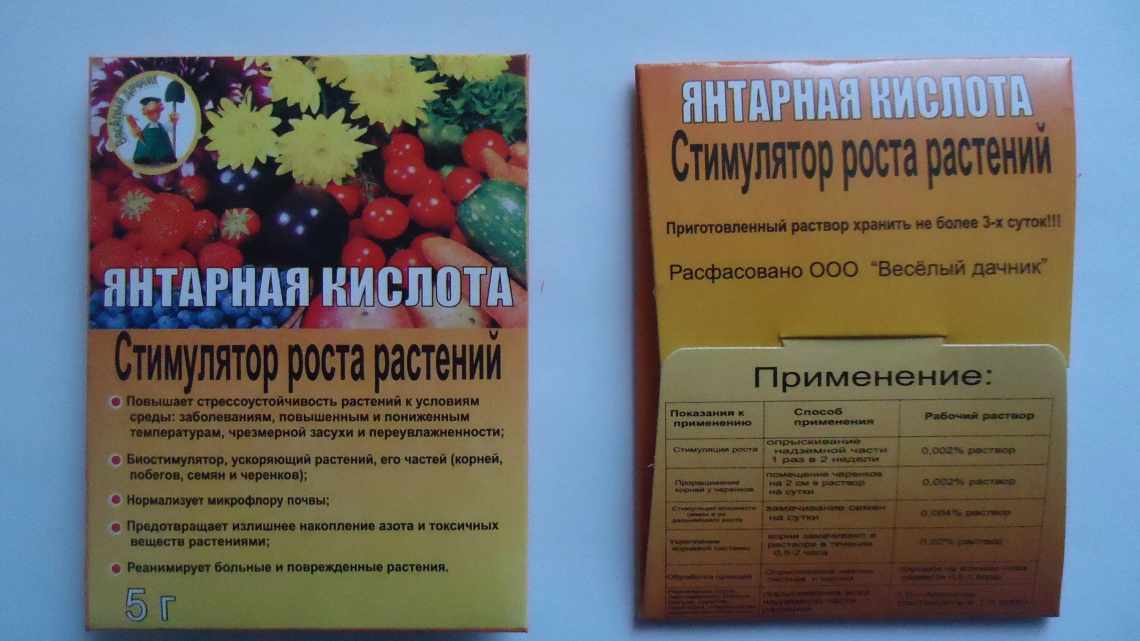 Дозировка и применение янтарной кислоты для подкормки огурцов