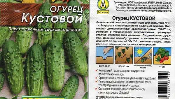 Характеристика и описание сортов кустовых огурцов, выращивание и уход