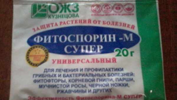 Виды фунгицидов для огурцов в теплице и инструкция по применению