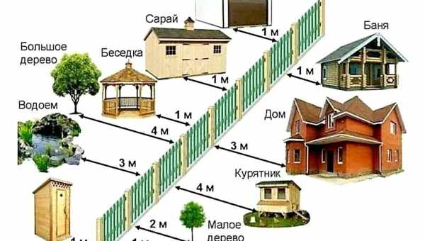 Какое должно быть расстояние между кустами смородины друг от друга при посадке