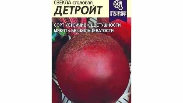 Описание столовой свеклы Детройт, разновидности и агротехника выращивания