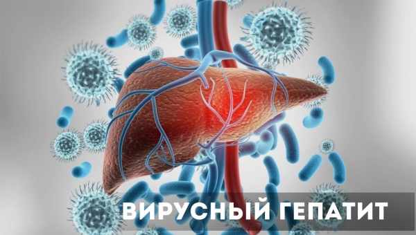 Вирусные гепатиты стали одной из ведущих причин смерти