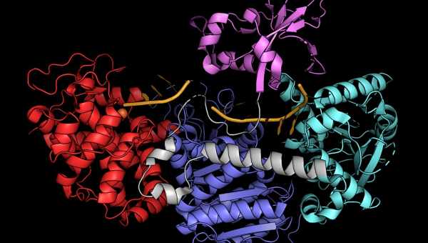 CRISPR-система внесла в эпигеном наследуемые изменения