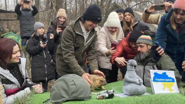 Чи можна зберегти до наступної весни дурман?