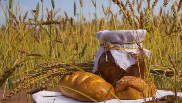 Луковий хліб із сиром і прованськими травами