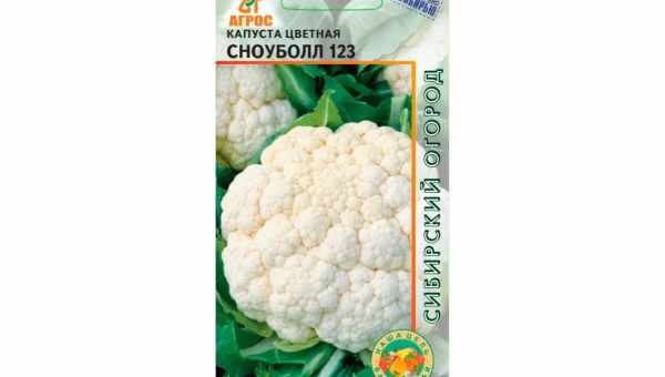 Цвітна капуста Сноубол 123: пас від французів